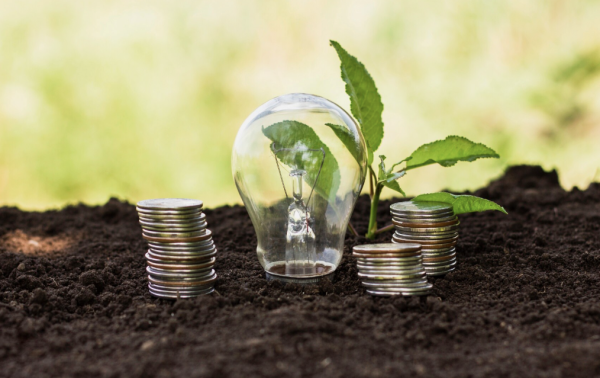 Los emprendimientos sostenibles que están transformando la economía verde en Bogotá